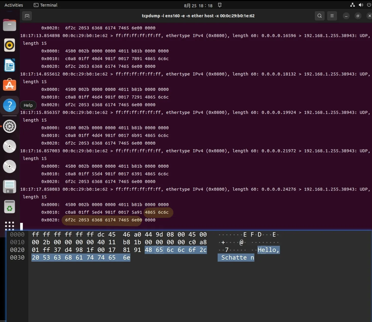 1756117449760-038055ff-80f2-4437-91d5-8db7a7fec67c.jpeg|600