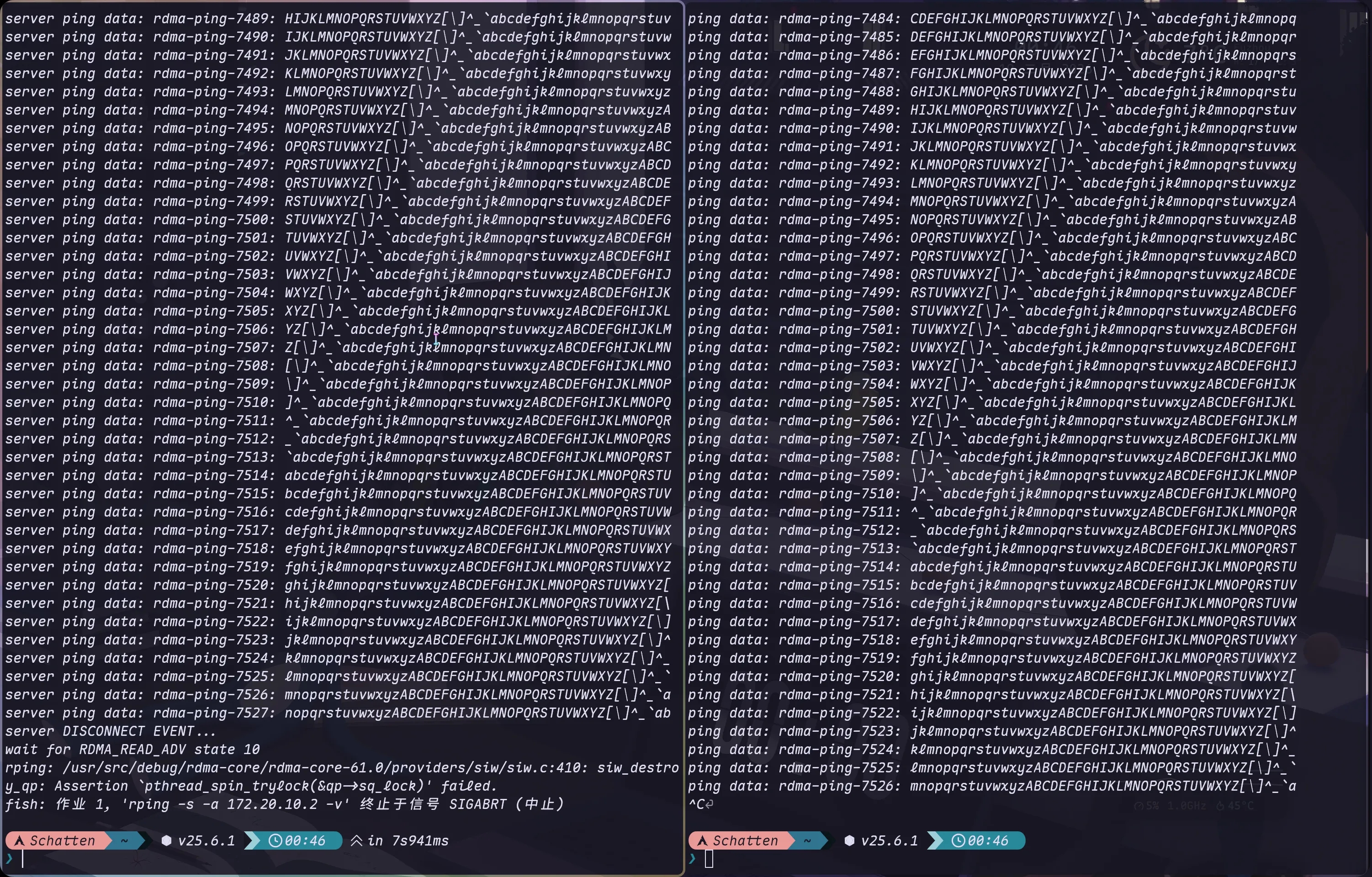 image-20260219004659044