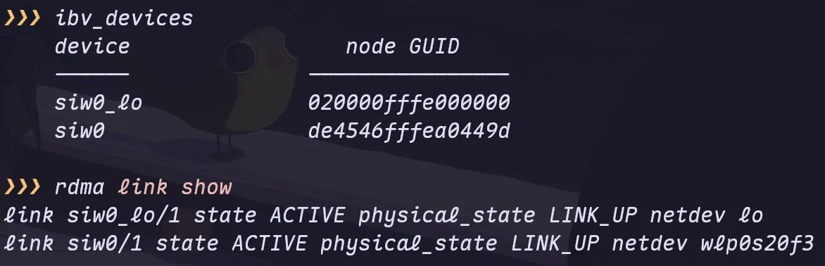 image-20260219004849622